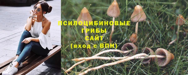 стаф Абаза