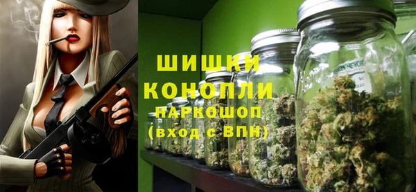 2c-b Новозыбков