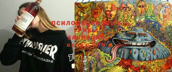 мет Абинск